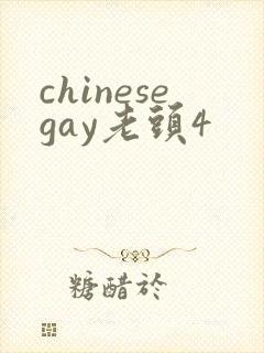 chinesegay老头4