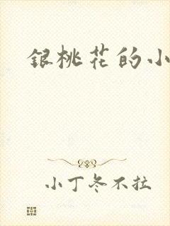 银桃花的小说