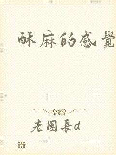 酥麻的感觉小说