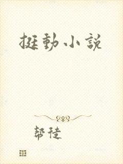 挺动小说