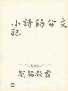 小诗的公交车日记