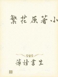繁花原著小说