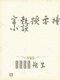 言教授要撞坏了小说