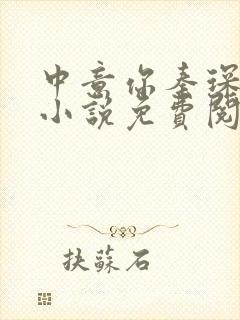 中意你秦琛苏沫小说免费阅读