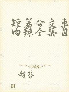 短篇公交车高h肉辣全集目录