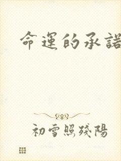 命运的承诺