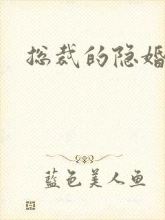 总裁的隐婚新娘