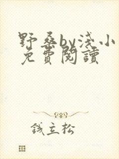 野桑by浅小说免费阅读