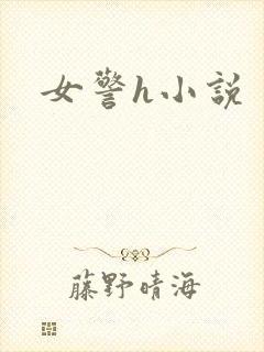 女警h小说
