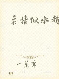 柔情似水赵雅儿