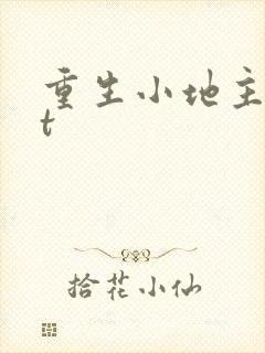 重生小地主txt