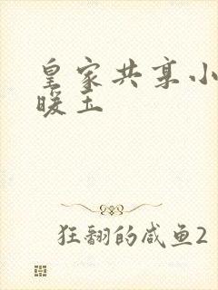 皇家共享小公主暖玉