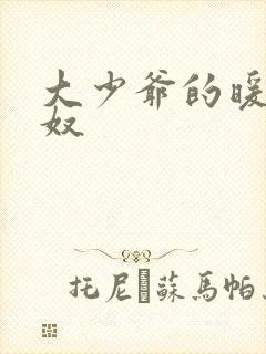 大少爷的暖床小奴