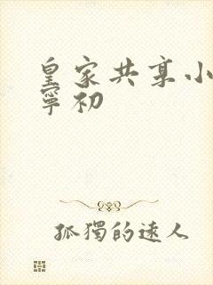 皇家共享小公主宁初