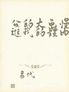 公的大龟慢慢挺进我的体内视频