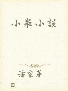 小米小说