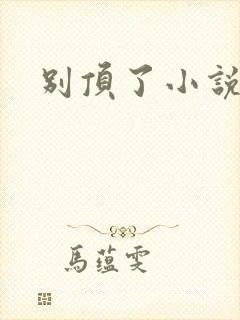 别顶了小说封面