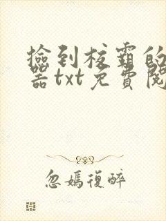 捡到校霸的遥控器txt免费阅读