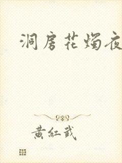 洞房花烛夜小说