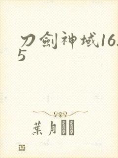 刀剑神域16.5