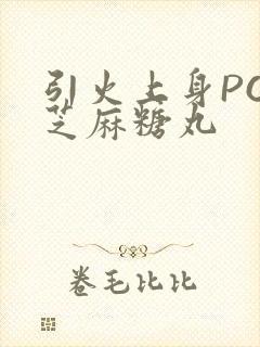 引火上身POP芝麻糖丸