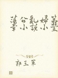 荡公乱妇第51章小说小莹