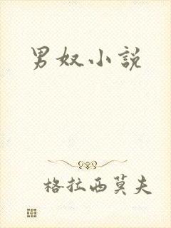 男奴小说