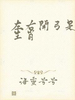 左右开弓是什么生肖