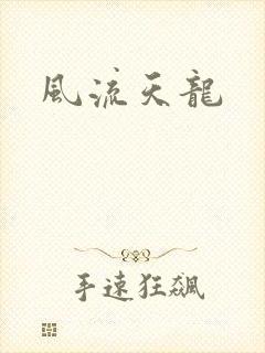 风流天龙