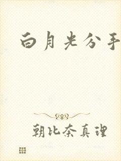 白月光分手日常