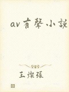 av有声小说