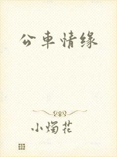 公车情缘