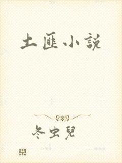 土匪小说