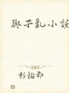 与子乱小说