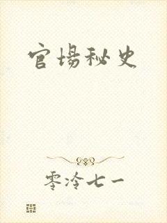 官场秘史