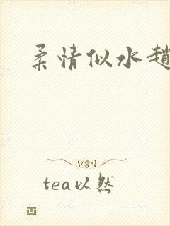 柔情似水赵雅儿