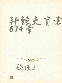 轩辕大宝袁雪妃674章