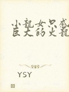 小龙女只感觉那巨大的火龙枪