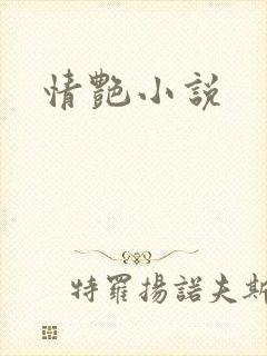 情艳小说
