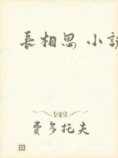 长相思 小说