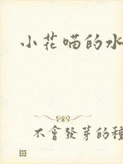 小花喵的水蜜桃