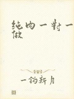 纯肉一对一到处做