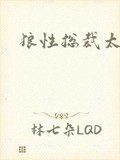 狼性总裁太凶猛