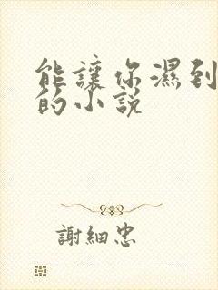 能让你湿到不行的小说