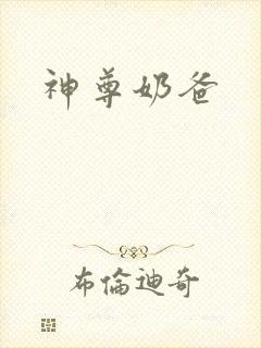 神尊奶爸封面