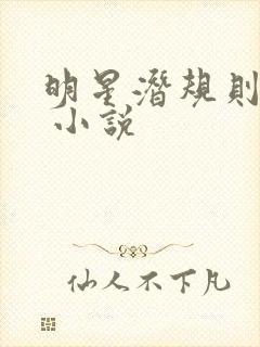 明星潜规则之皇 小说