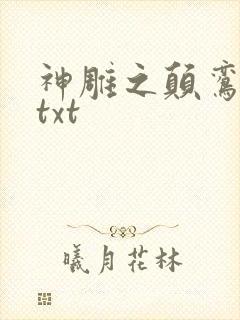 神雕之颠鸾倒凤txt封面