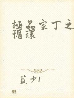 极品家丁之因果循环