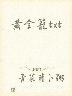 黄金笼txt