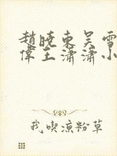 赵晓东吴雪晴郑伟王潇潇小说名字